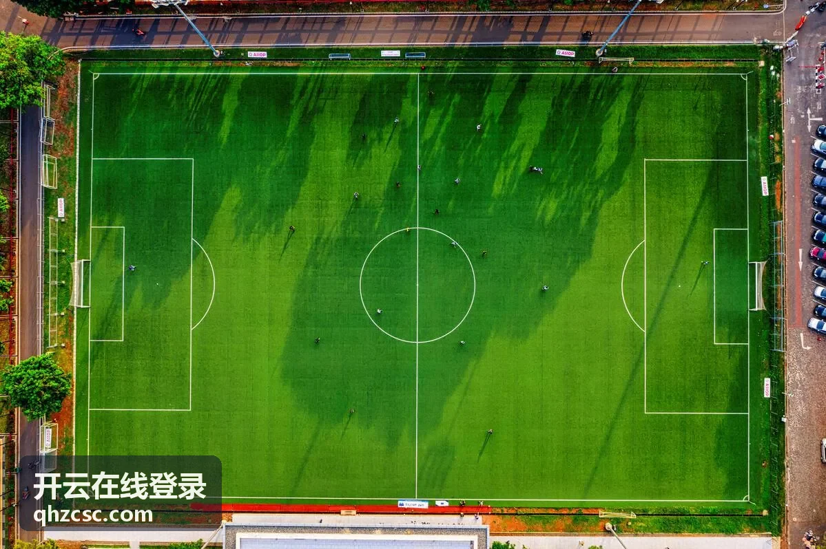 开云在线登录登录指引封面