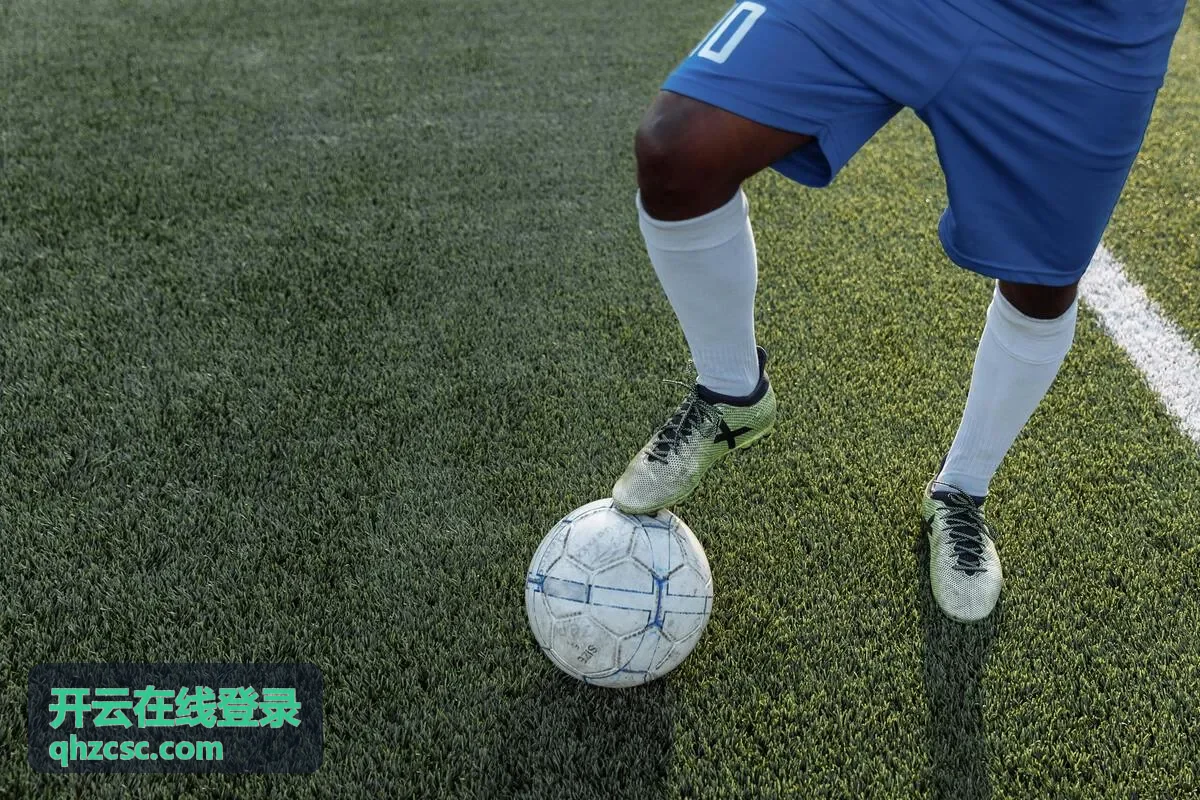 开云在线登录片库导航封面