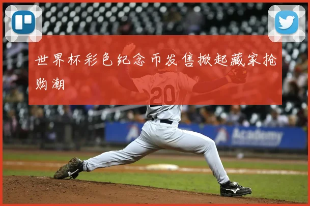 世界杯彩色纪念币发售掀起藏家抢购潮
