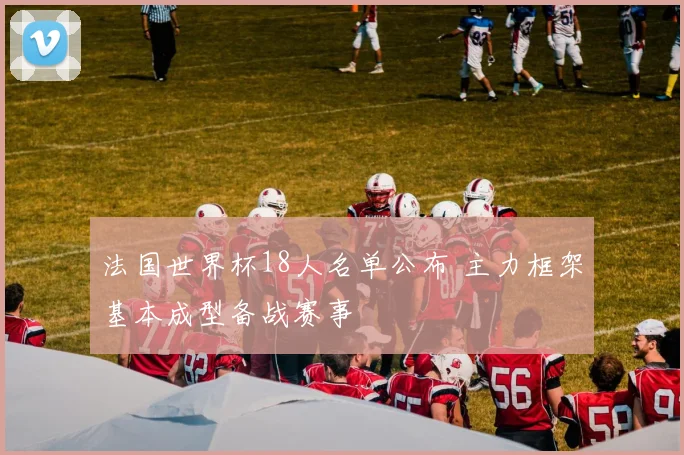 法国世界杯18人名单公布 主力框架基本成型备战赛事